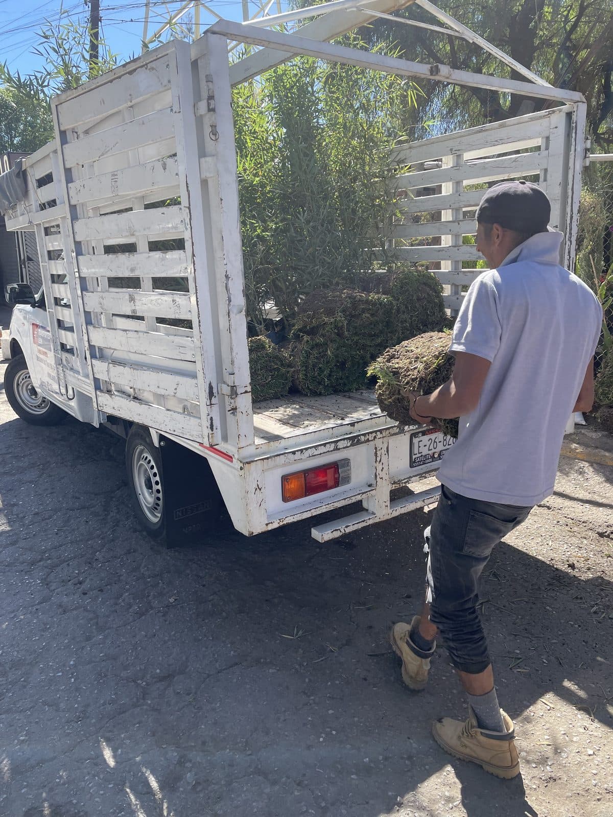 Carga agrícola transportada por Transportes León